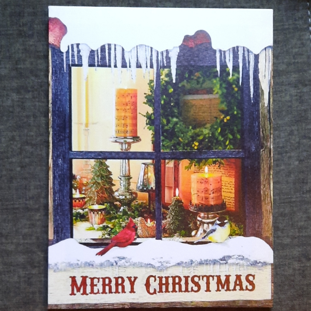 Holiday Light Picture Flickering Lights Cardinal Candles NWT